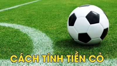 Cách tính tiền cỏ nhanh chóng và chính xác cho các anh em