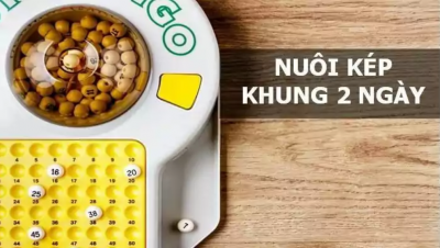 Lô kép nuôi khung 2 ngày, hướng dẫn dành chiến thắng cho cược thủ