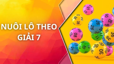 Nuôi lô theo giải 7 - Bí quyết nuôi lô bao thắng từ chuyên gia