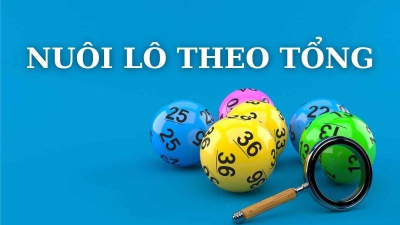 Nuôi lô theo tổng - Chiến thuật nuôi lô đúng chuẩn thắng cao