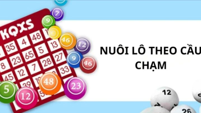 Nuôi lô theo cầu chạm - Bí kíp săn lô sinh lời cho lô thủ